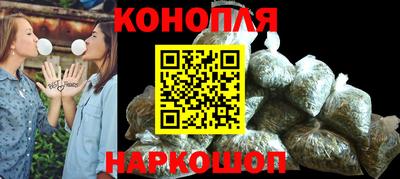 сатива Малгобек